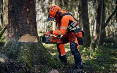 Comment bien s’équiper pour les travaux forestiers : vêtements, chaussures, casque et sécurité